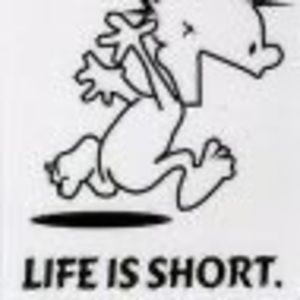 Meet your Posher, Dave